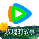 讲述一个人的经历有图